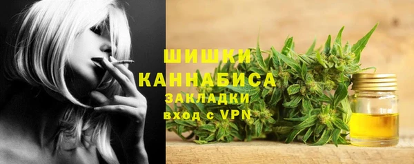 соль ск Алексин