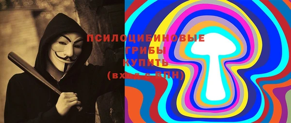 соль ск Алексин