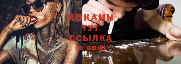 соль ск Алексин
