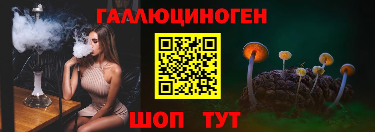 Шуя  Псилоцибиновые грибы Psilocybine cubensis  Галлюциногенные грибы ЛСД  Вход с VPN 