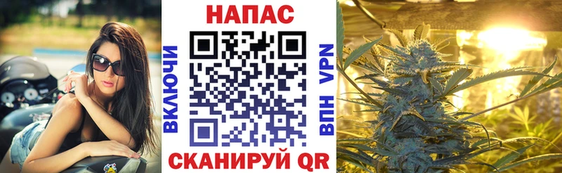 Шишки марихуана сатива  Шуя 